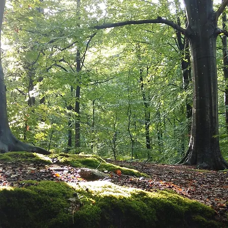 Privatif Datcha Alloggio in famiglia *