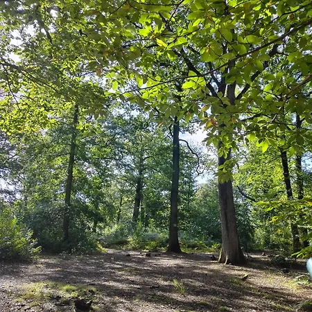 Alloggio in famiglia Privatif Datcha *