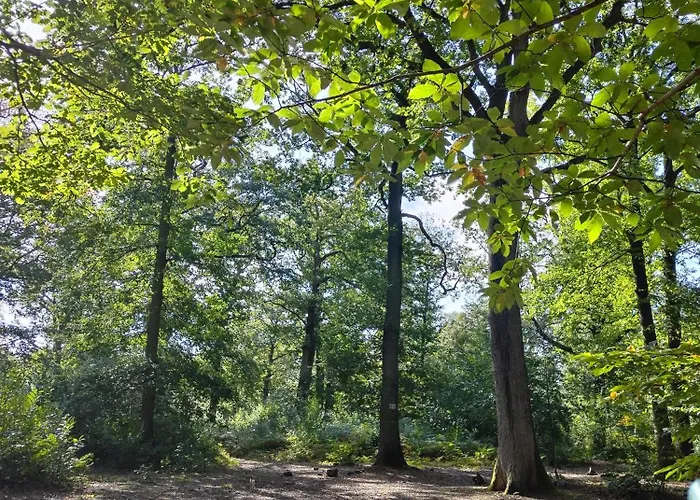 منزل للإقامة Privatif Datcha *